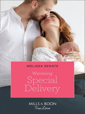 cover image of Wyoming Special Delivery